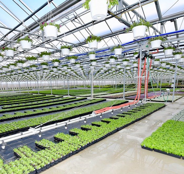 USDA MEDIA BY LANCE CHEUNG.